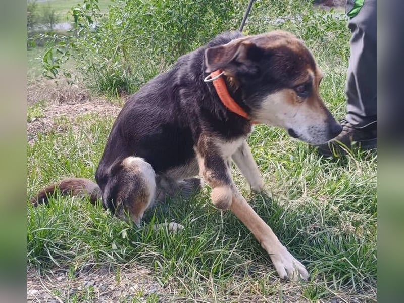 SPIKE wurde im Stich gelassen