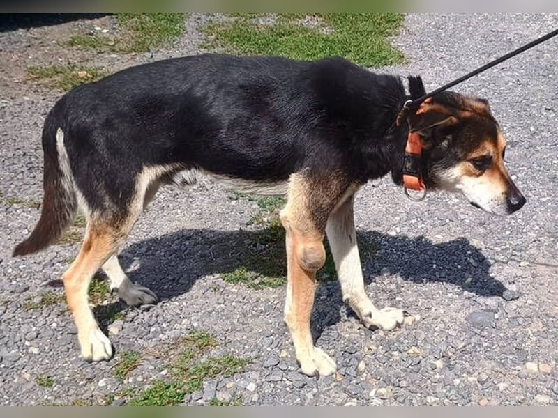 SPIKE wurde im Stich gelassen
