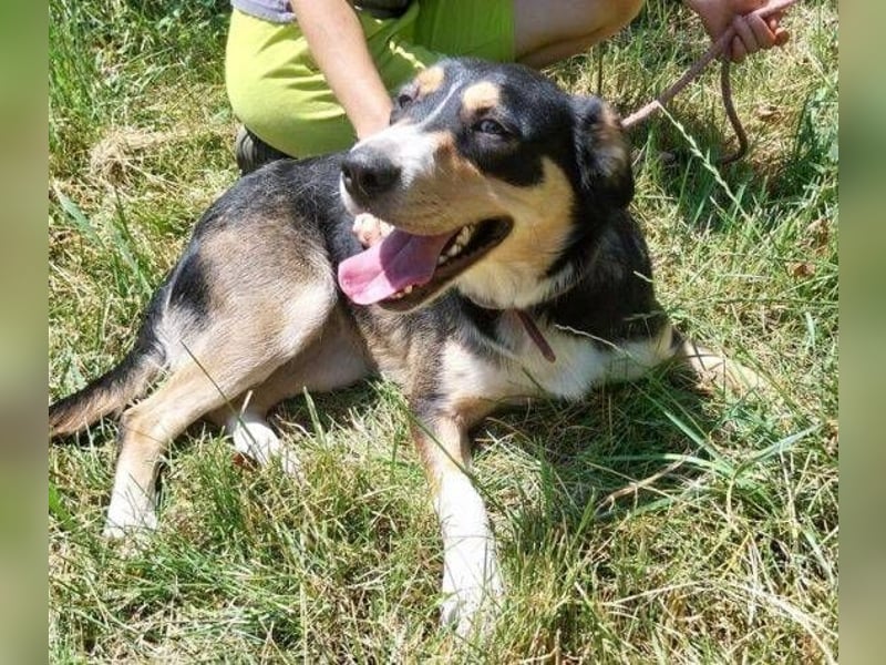 DAPHNE ist super lieb