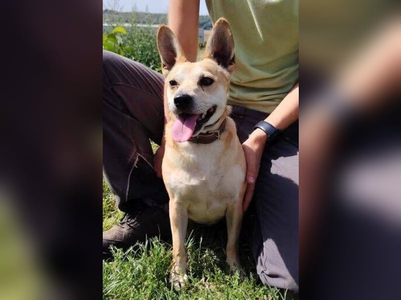 POLLY hatte großes Glück