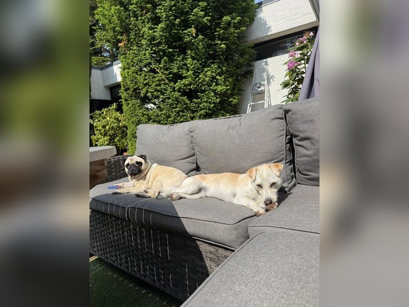 Alenia sucht ihr Traumzuhause !