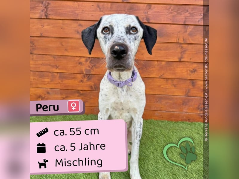 Peru - aktiv, fröhlich