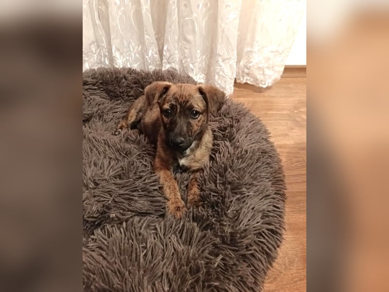 Lenny ein kleines Mädchen