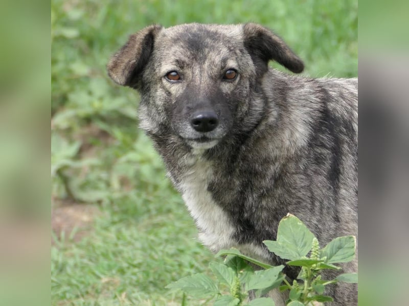 hübsche Bonnie sucht perfect match
