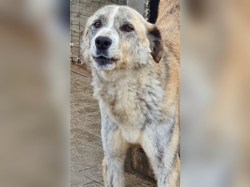 Greta: Augen sagen mehr....