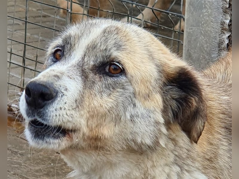 Greta: Augen sagen mehr....