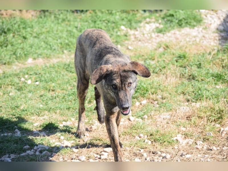 Jette sucht Geborgenheit und Vertrauen