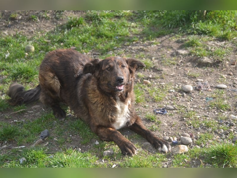 SUCKI sucht ein liebes Zuhause