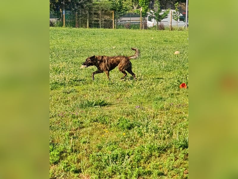 Helfen Sie Lua dabei zu funkeln?