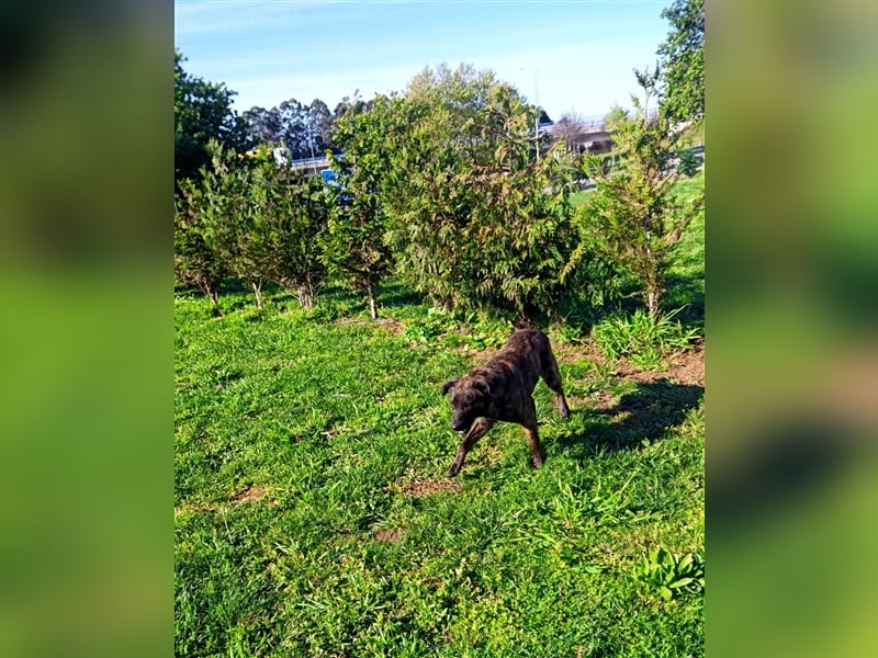 Helfen Sie Lua dabei zu funkeln?