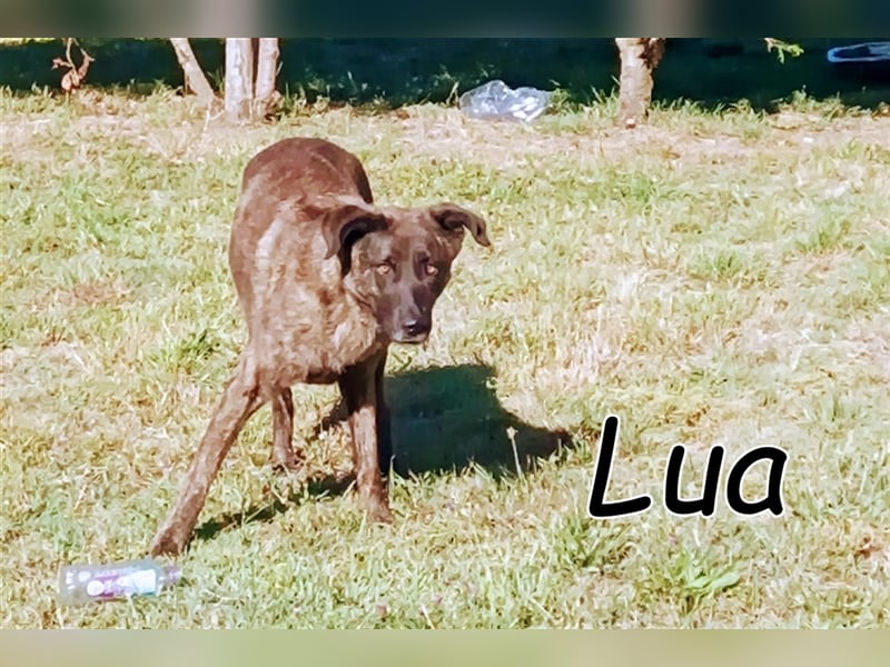 Helfen Sie Lua dabei zu funkeln?