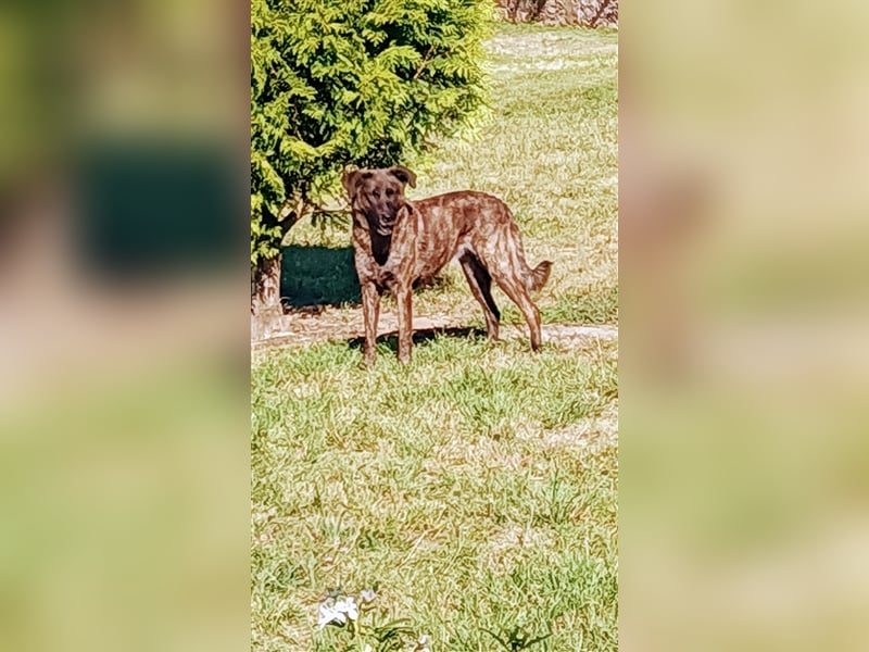 Helfen Sie Lua dabei zu funkeln?