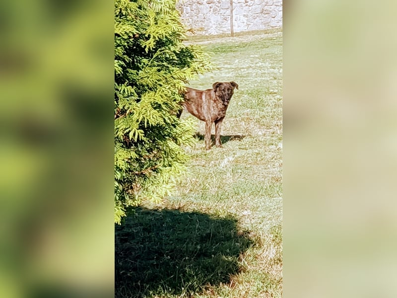 Helfen Sie Lua dabei zu funkeln?