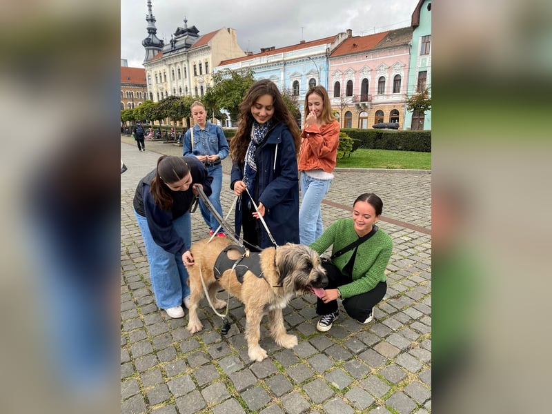 Tolle Bonnie möchte eine liebe Familie