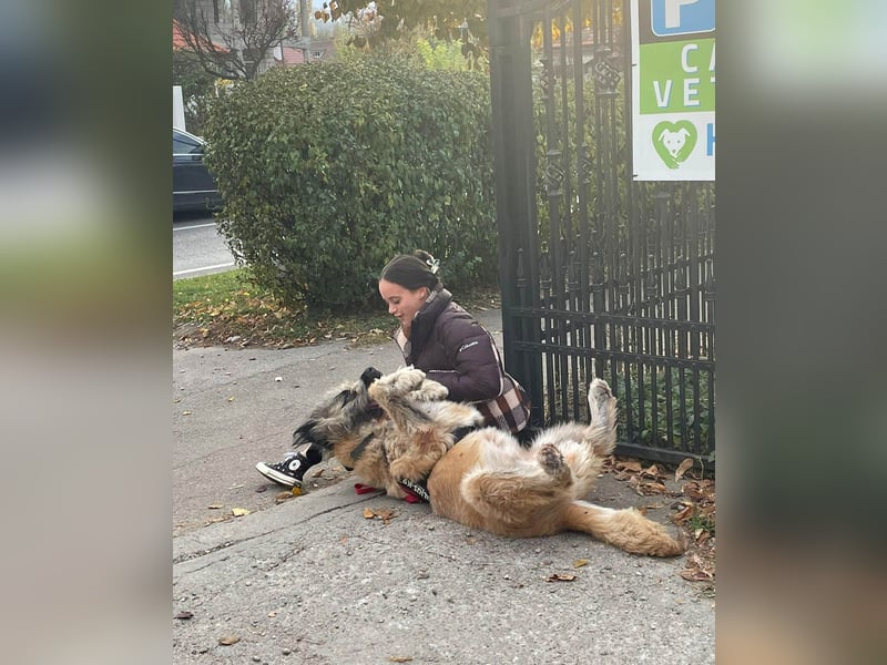 Tolle Bonnie möchte eine liebe Familie