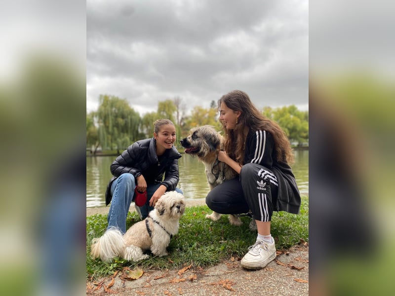 Tolle Bonnie möchte eine liebe Familie