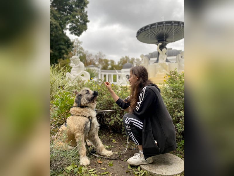 Tolle Bonnie möchte eine liebe Familie