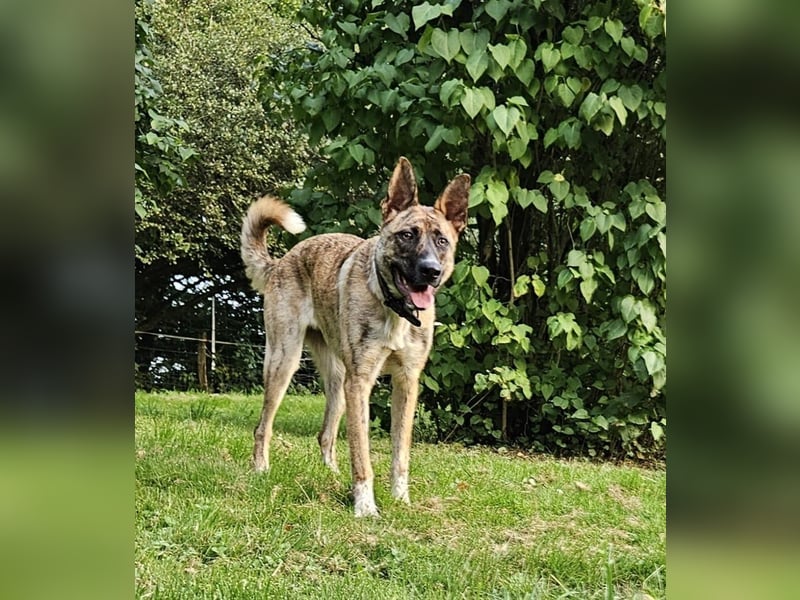 Janne sucht erfahrene Menschen