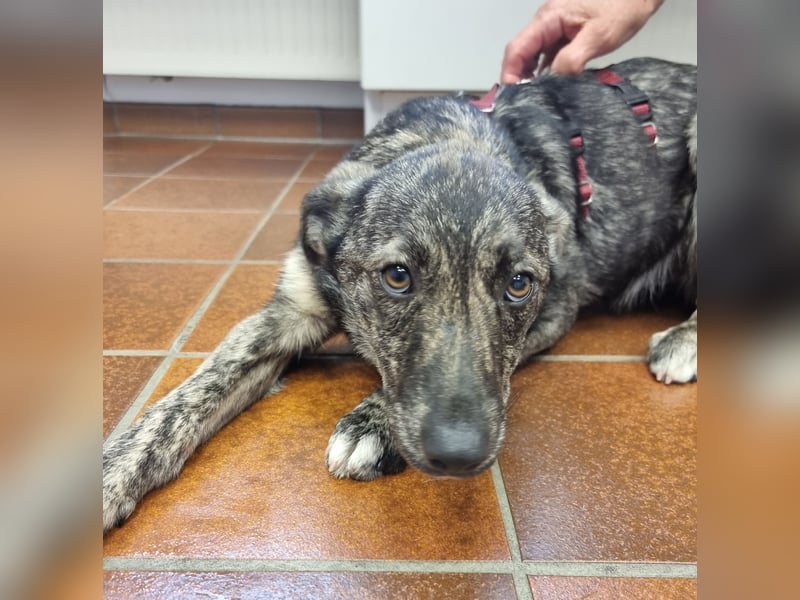 Kinderliebe Malou