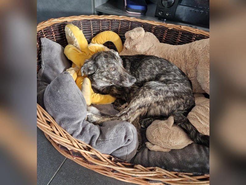 Kinderliebe Malou
