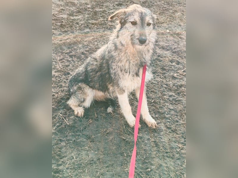 Zora, lieb, süß, traunhaft