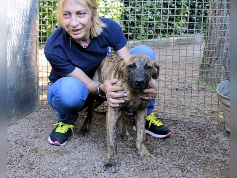 Adelene - Streifen sind schick!