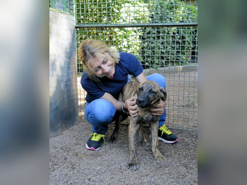 Adelene - Streifen sind schick!