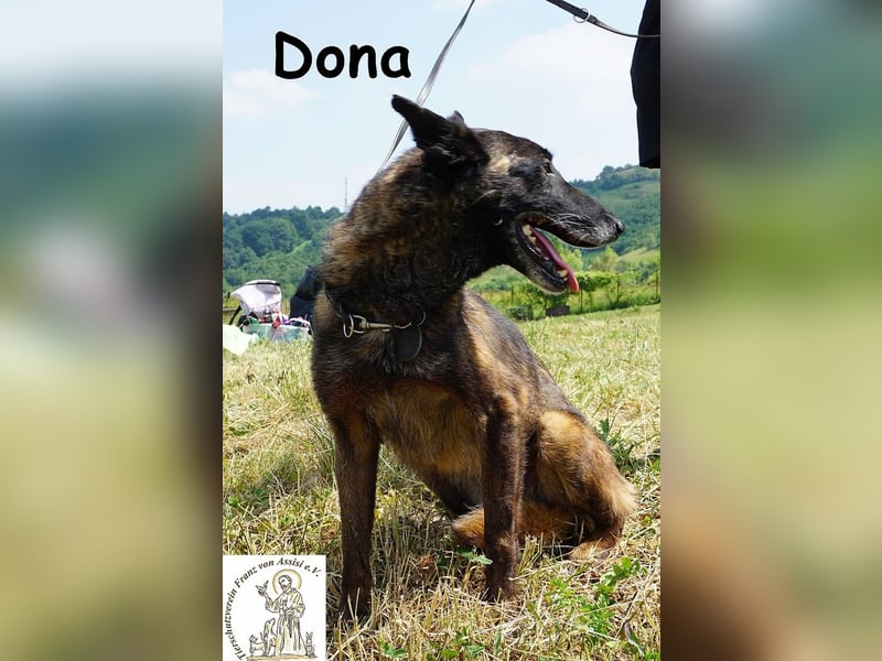 Dona – sucht ruhigen Hafen zum Seele baumeln lassen