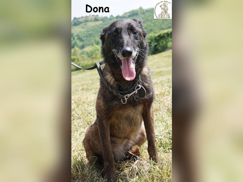 Dona – sucht ruhigen Hafen zum Seele baumeln lassen