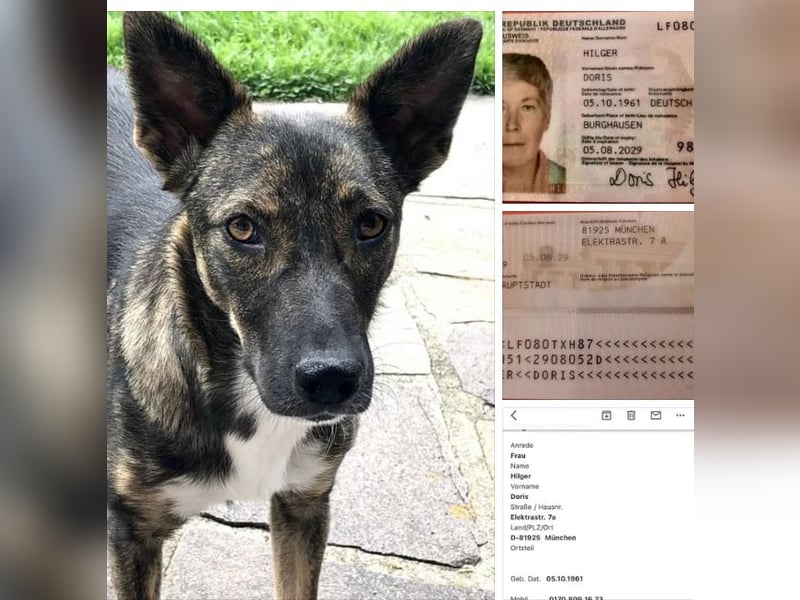 Pepper sucht aktive Menschen