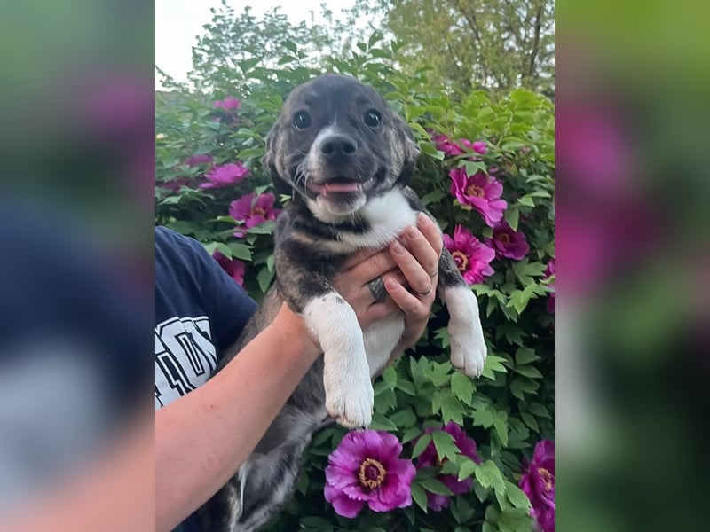 Miesha möchte noch gaaaanz viel lernen