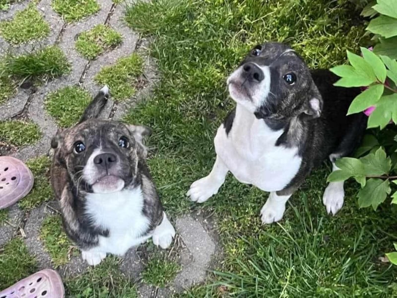Miesha möchte noch gaaaanz viel lernen