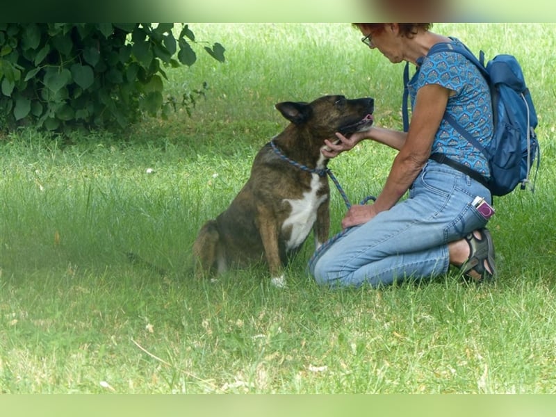 Fröhliche Runa sucht Menschen zum Schmusen, die sie bedingungslos lieben !