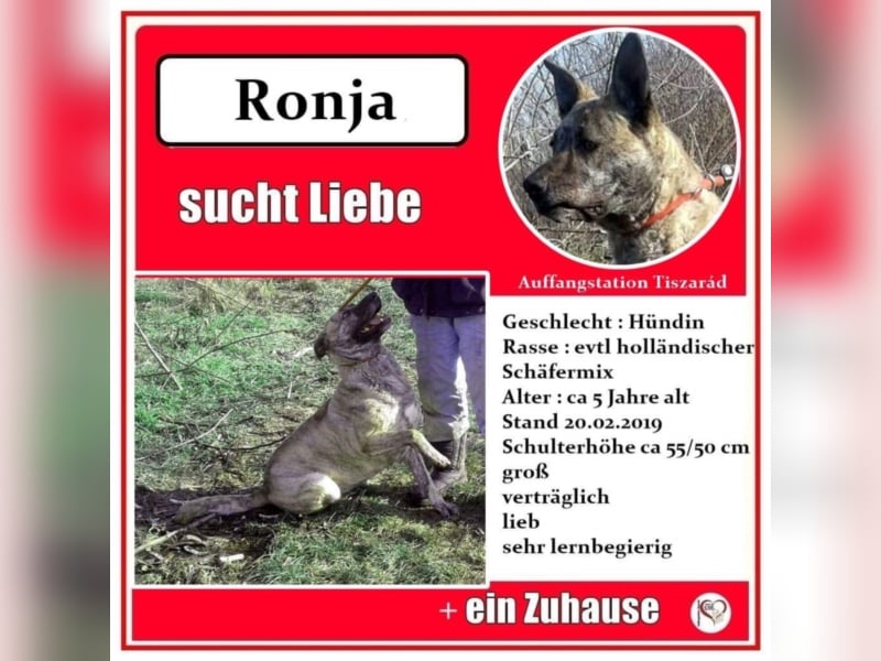 Ronja