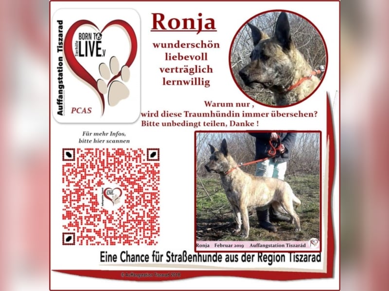 Ronja