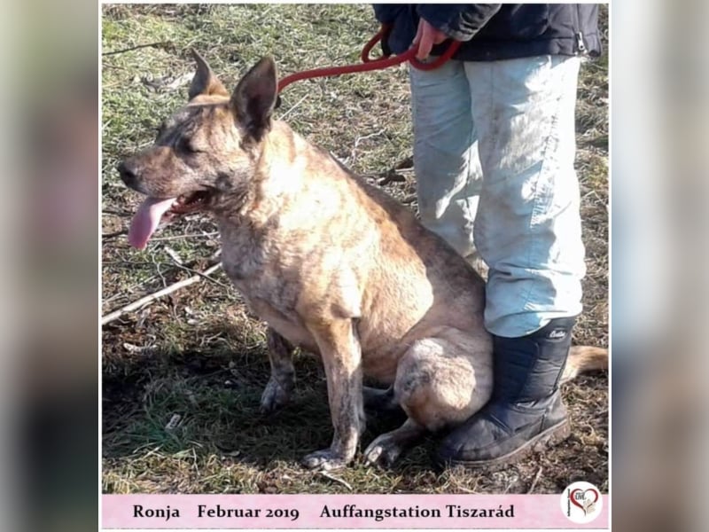 Ronja