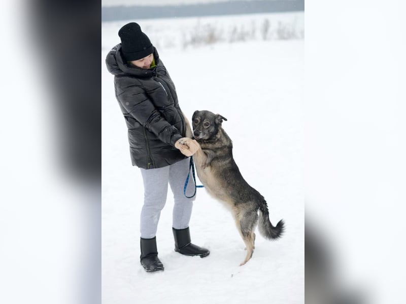 Alma ❤️ freundliche Zuckerschnute sucht liebevolle Menschen