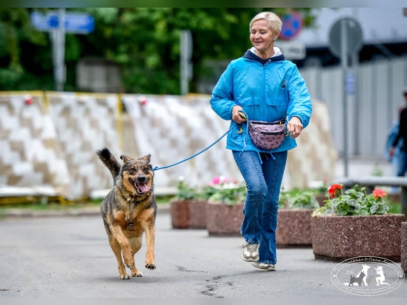 Whiskey❤️tolle Hundeseele wartet seit Jahren auf Zuhause oder Pflegestelle