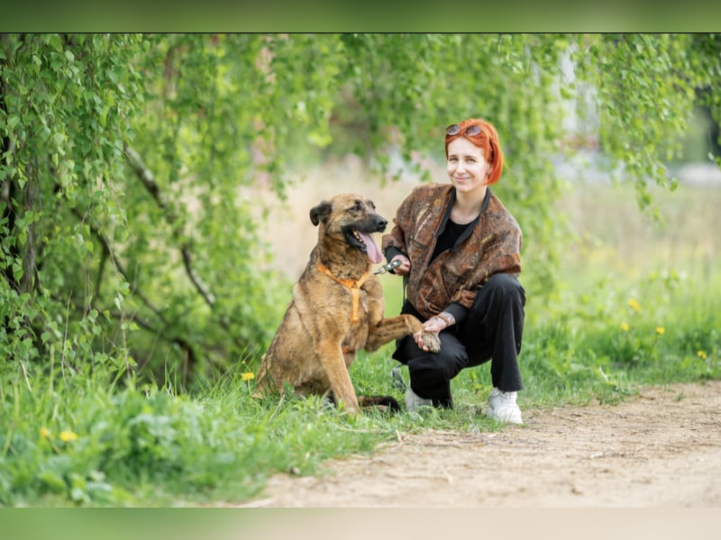 Wunderschöne Malta ❤️ sucht Menschen mit Herz