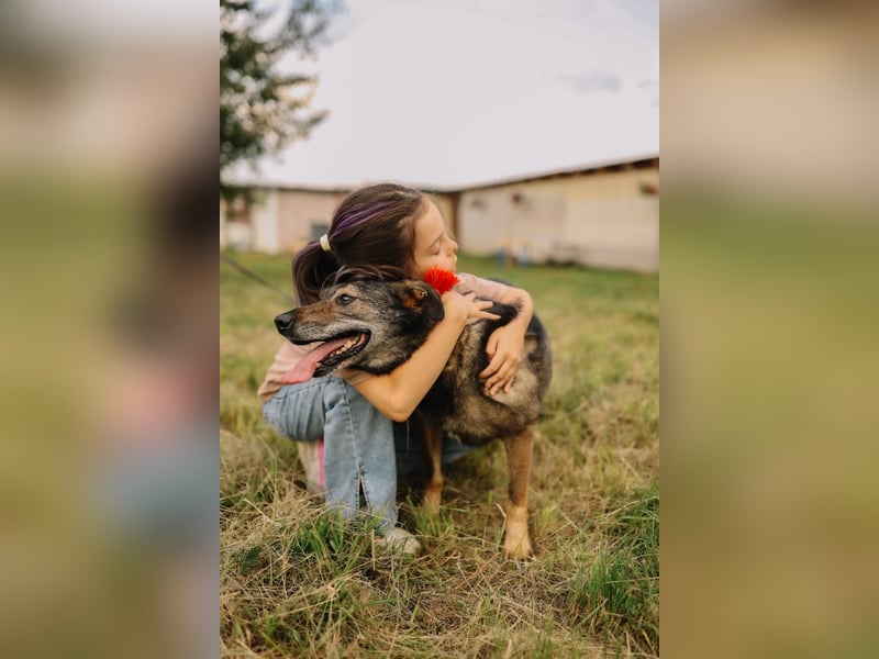 Fröhliche und verschmuste Hündin Lucy❤️sucht Pflege- oder Endstelle