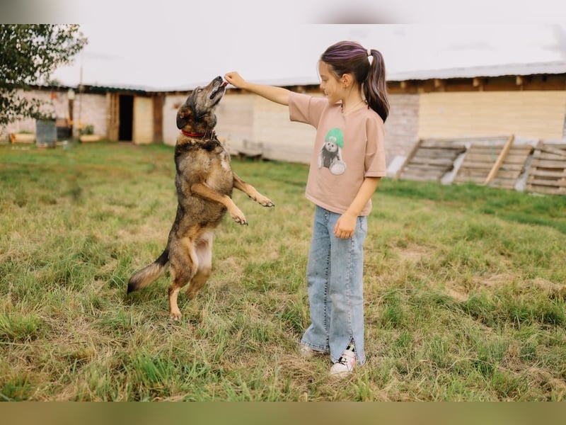 Fröhliche und verschmuste Hündin Lucy❤️sucht Pflege- oder Endstelle