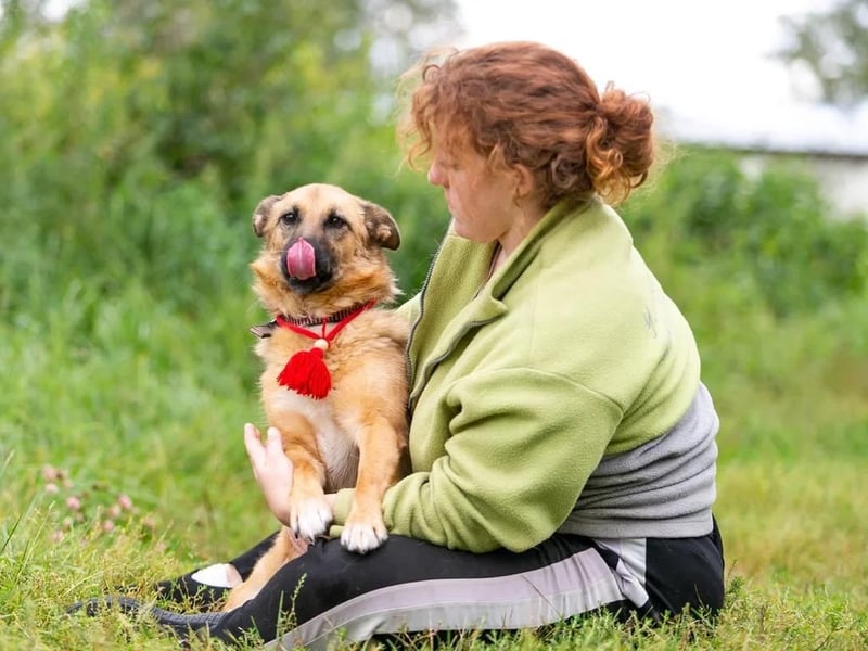 Zayka❤️befindet sich derzeit auf einer Pflegestelle in 65611 Brechen