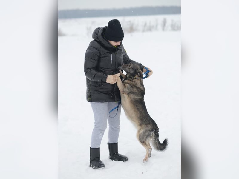 Alma ❤️ freundliche Zuckerschnute sucht liebevolle Menschen