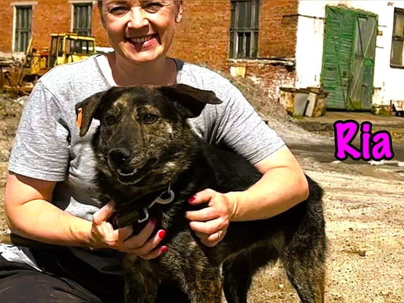Ria 07/2021 - ruhige & liebevolle Kuschelmaus, eine Hündin für die Seele!