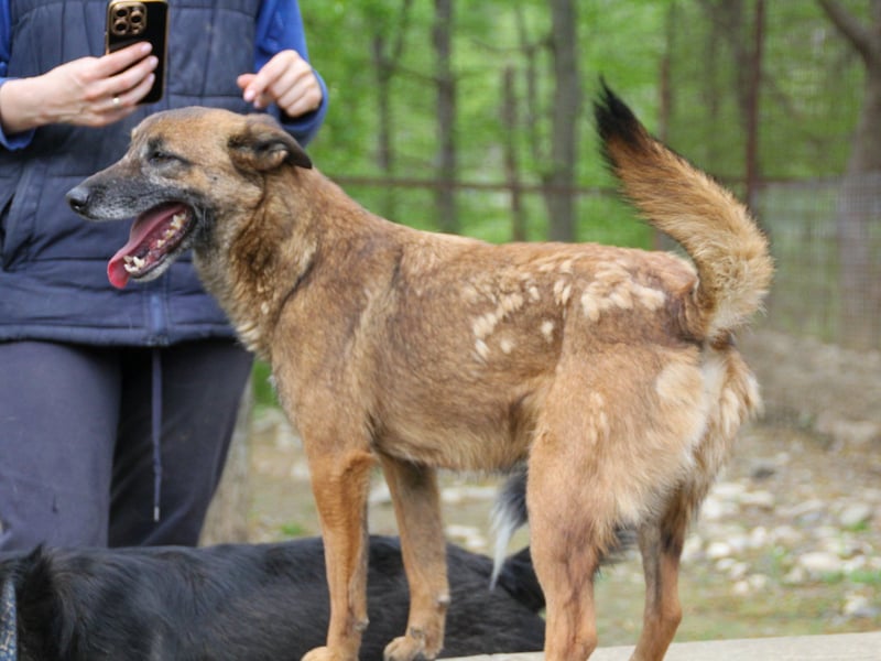 Hoppla - bezaubernde NISHA sucht ihr Kuschelkörbchen