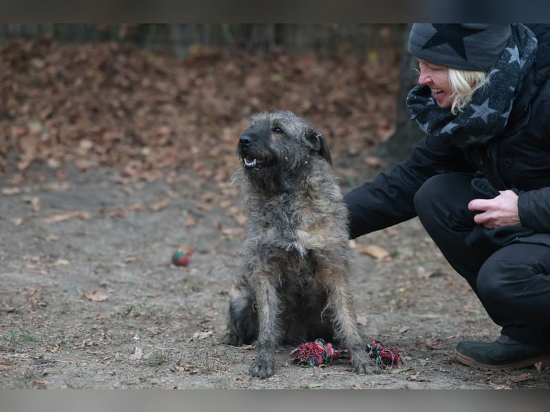 Freundliche Rani sucht ihre Menschen