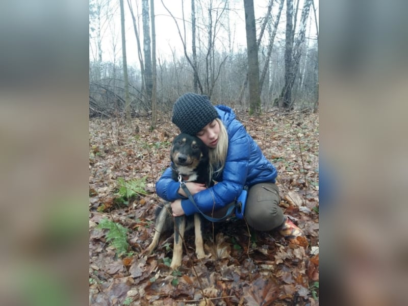 Liebe Hunde im Auslandstierschutz