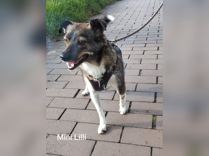 Kleine Lilli sucht neues Sofa in Dorsten NRW