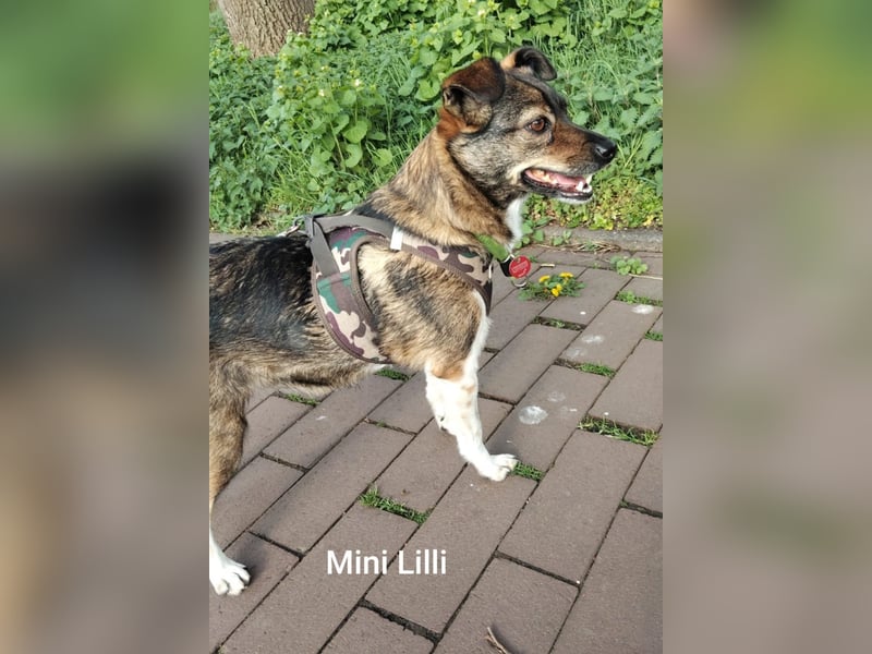 Kleine Lilli sucht neues Sofa in Dorsten NRW