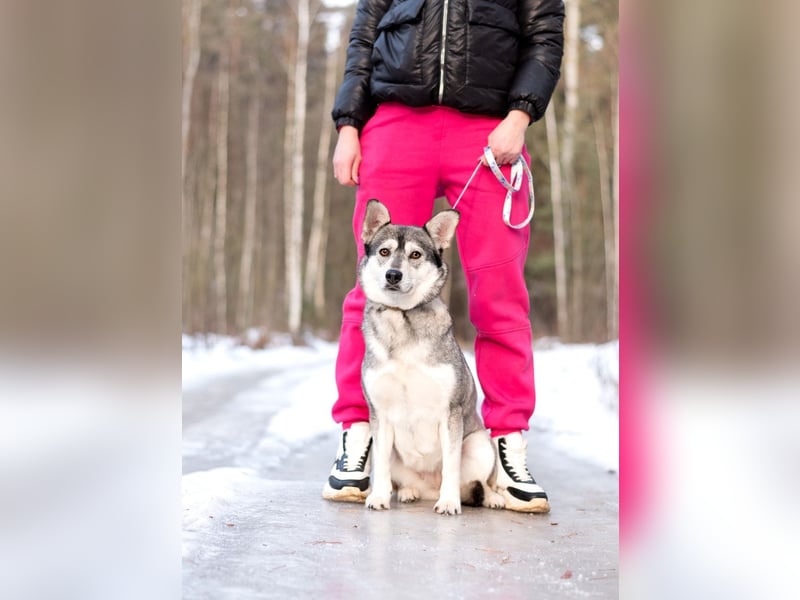 Hübsche KUKLA sucht ein Familie